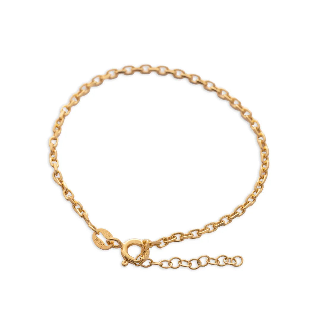Aros IT 2 mm 15.5 Cms + Ext