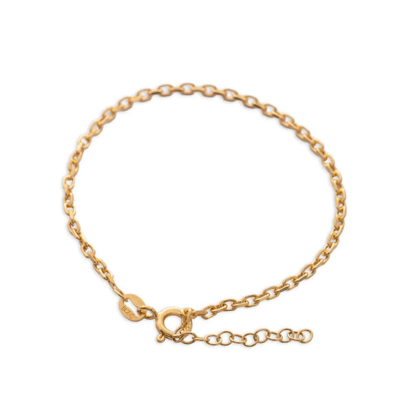 Aros IT 2 mm 15.5 Cms + Ext