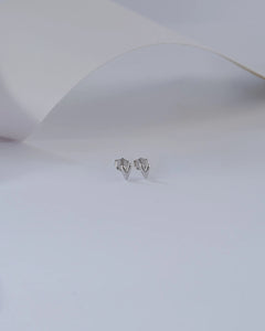 Aretes Evo Heart 3x5 mm